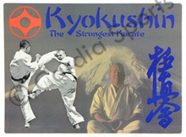 images/productimages/small/Kyokushin karate Oyama sticker.jpg